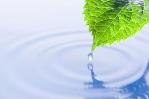 Healing Hypnotherapy - FREE GIFT